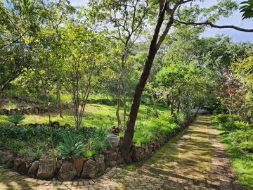 2000sqm Subdivided Glen Lorne Stand 