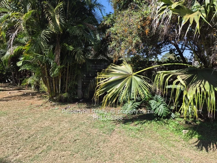 6000m² Access-Controlled Wedding Venue, Tree-Lined Plot with Water in Tynwald (Sole Mandate)