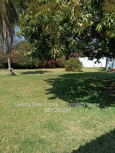 Avondale  Property For Sale  Usd 500K  Good Location  (Sole Mandate)