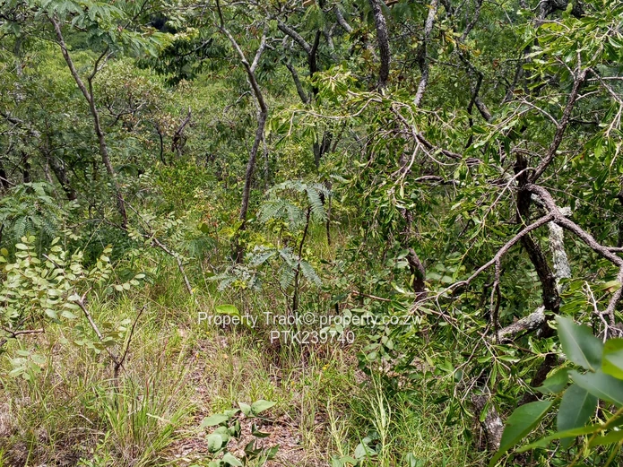 Excellently Positioned!