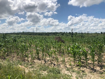 Commercial & Industrial Land