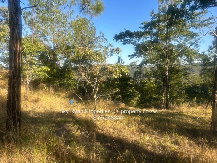 Glen Lorne, Folyjon Crescent Stand For Sale