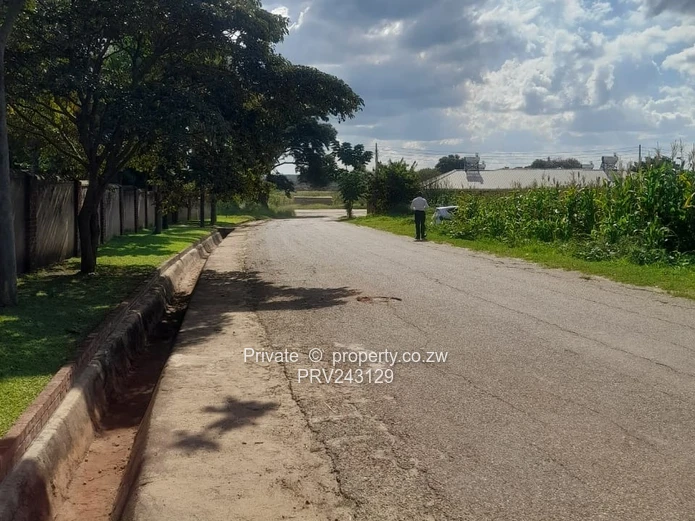 Bluffhill Stand For Sale