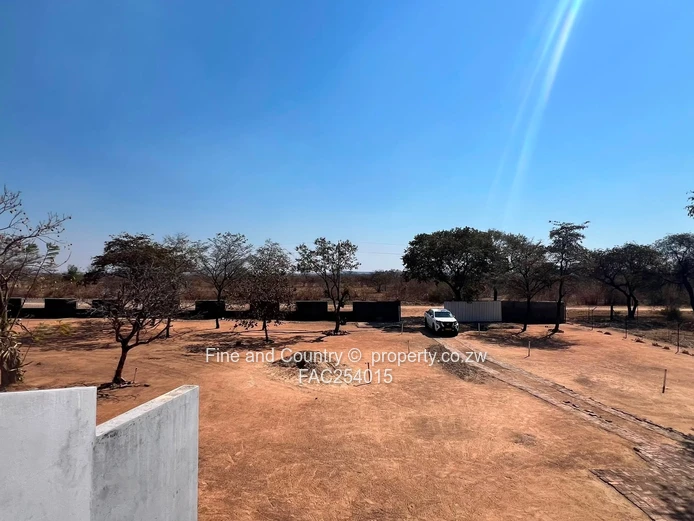 Prime Plot on the Main Road