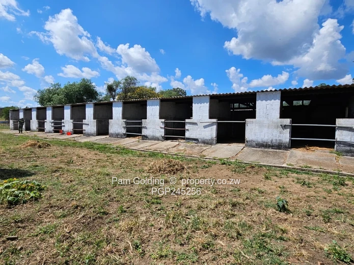 Lifestyle Farm Offering The Best Of Both Worlds