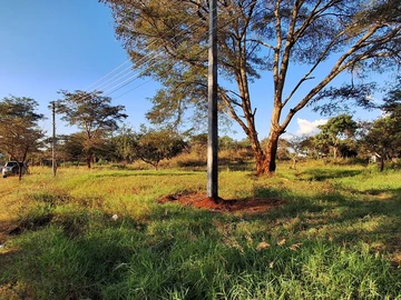 Stands & Residential Land