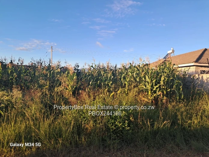 Damofalls Extension Vacant stand for sale!