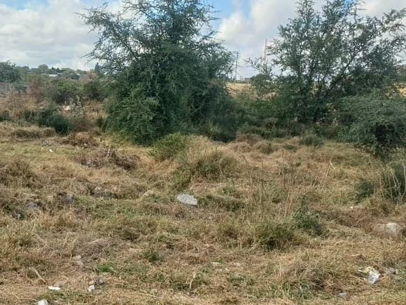 Commercial & Industrial Land