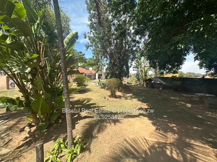 Gated 4-Bed Furnished House with Pool & Borehole, Hatfield