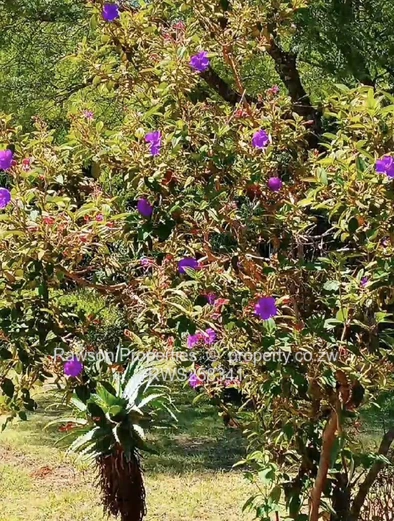 Investment opportunity!!