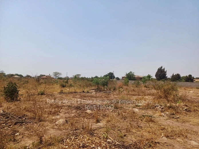 Rydale Ridge Stand For Sale 