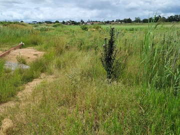 Commercial & Industrial Land