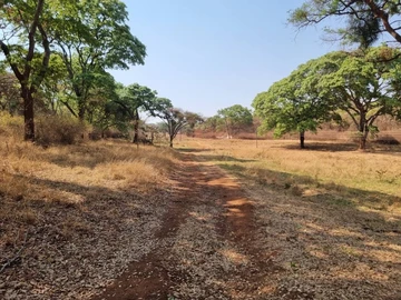 Farm & Agricultural Land