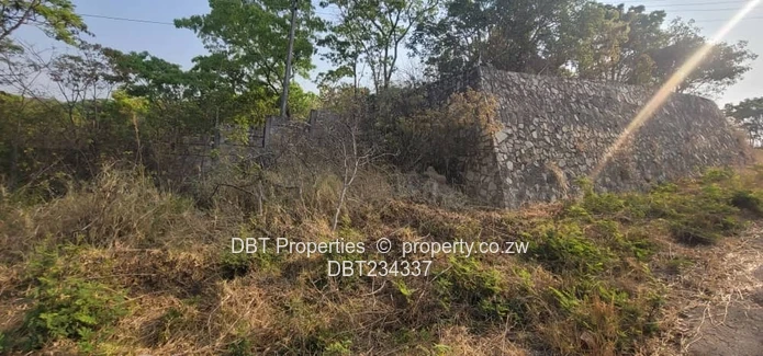 5200m² Glen Lorne Stand — Elevated Wooded Retreat