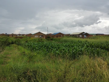 Stands & Residential Land