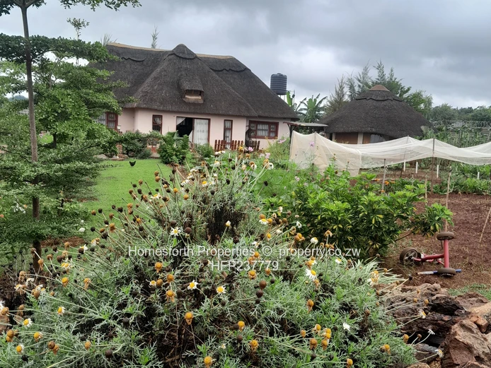 Thatched House For Sale In Crowhill