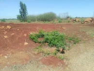Nyeredzi Ridge