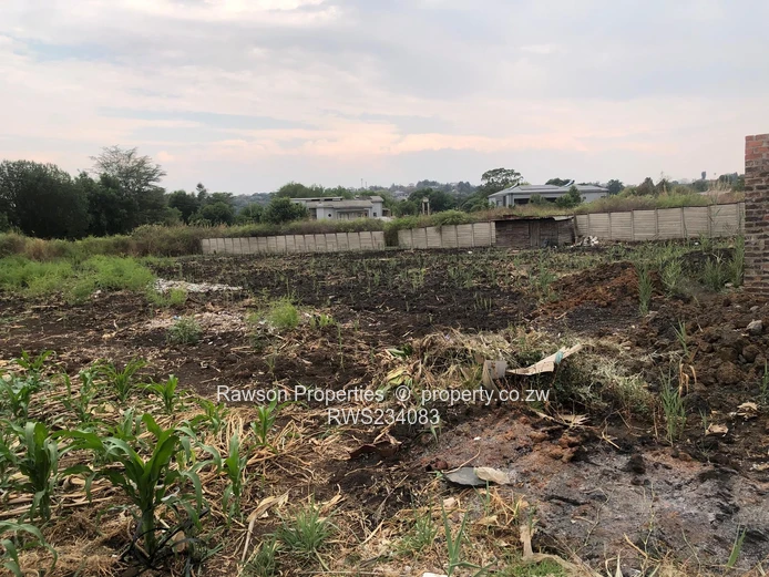 Excellent Opportunity 