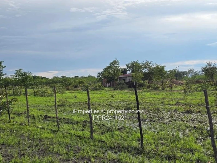 Choice of 3 Commercial Stands in Kadoma