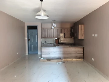 Flat & Apartment