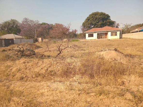 Stands & Residential Land
