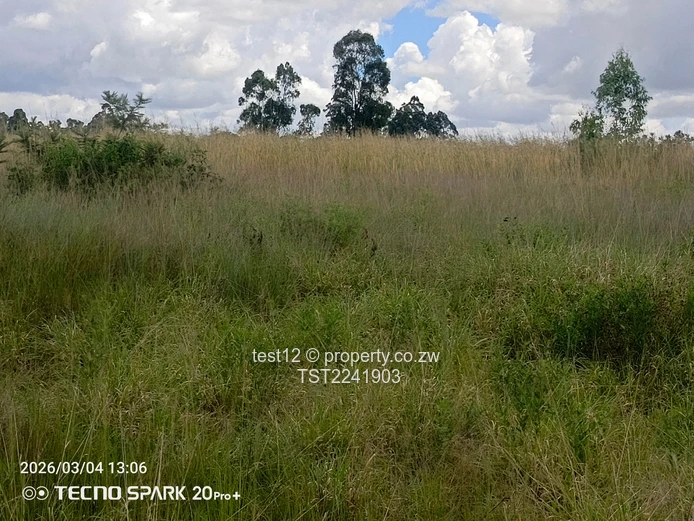 Ruwa - Goromonzi Plot for sale  (Sole Mandate)