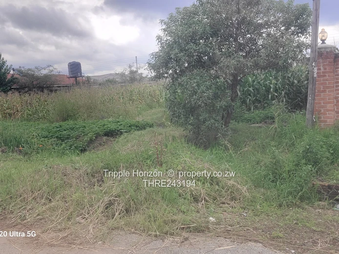 Great investment opportunity 