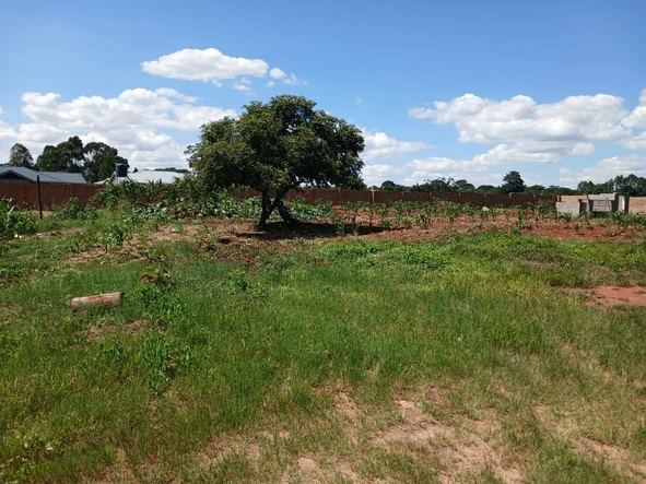 Stands & Residential Land