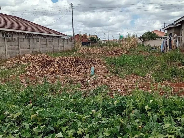 Stands & Residential Land