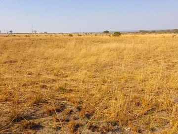 Commercial & Industrial Land