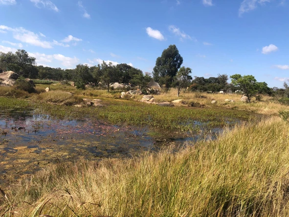 Farm & Agricultural Land