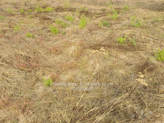 Residential Stand For Sale - Marondera Lendyview Park