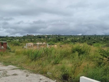 Commercial & Industrial Land