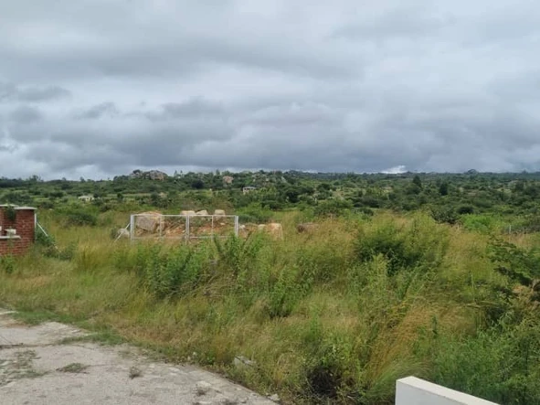 Commercial & Industrial Land