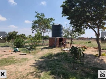 Farm & Agricultural Land