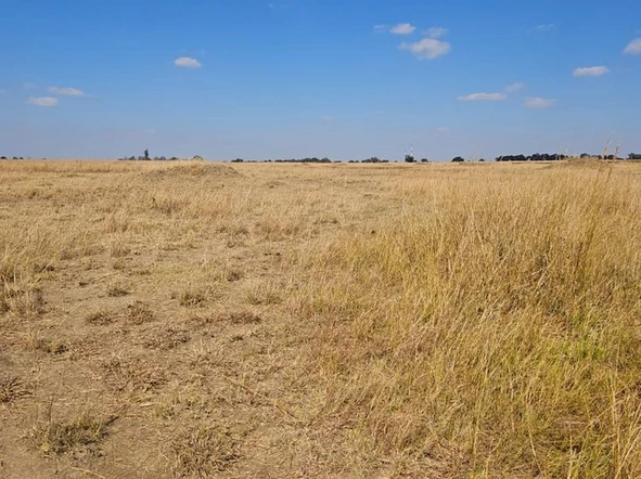 Farm & Agricultural Land
