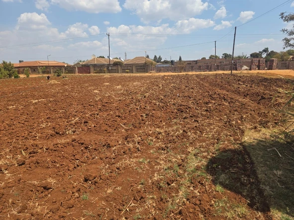 Stands & Residential Land