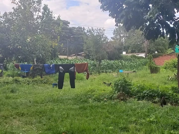 4 Bedroom Townhouse Complex