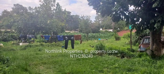 Investment Opportunity in Newlands (Sole Mandate)