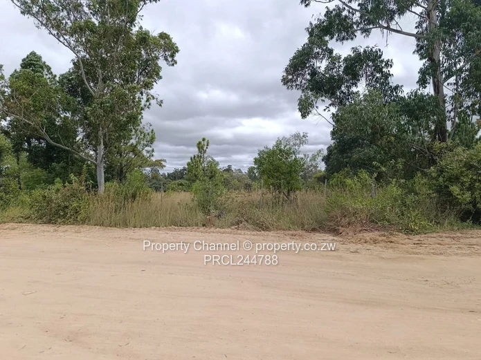 Prime Flat Agro Plot – Ideal for Farming, dwelling & Investment