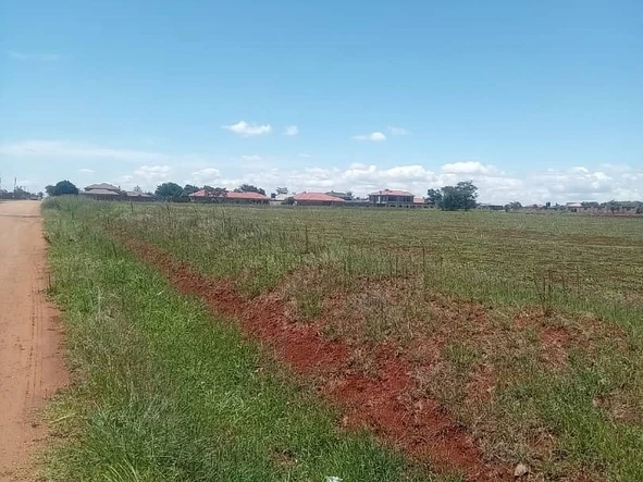 Stands & Residential Land