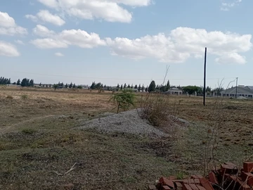 Stands & Residential Land