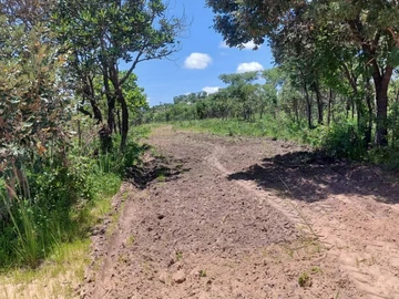 Farm & Agricultural Land