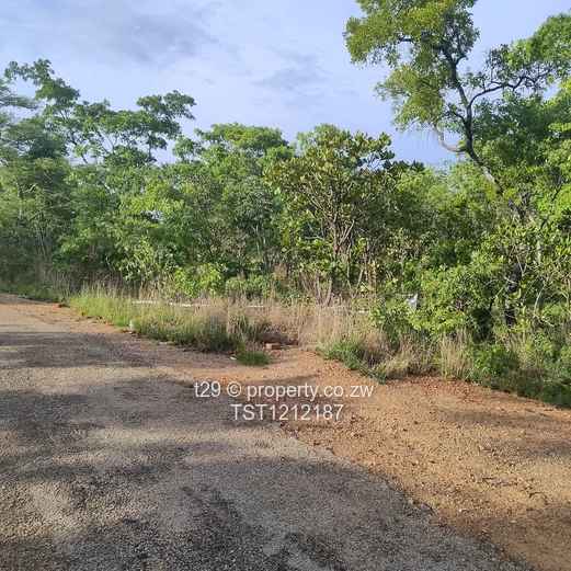 Borrowdale Carrick creagh estate stand for sale (Sole Mandate)