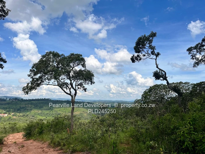 Chipinge Bangazani 1000sqm 