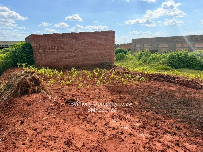 Commercial or Shop Stand for Sale in Warren Park D