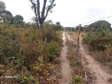 Farm & Agricultural Land