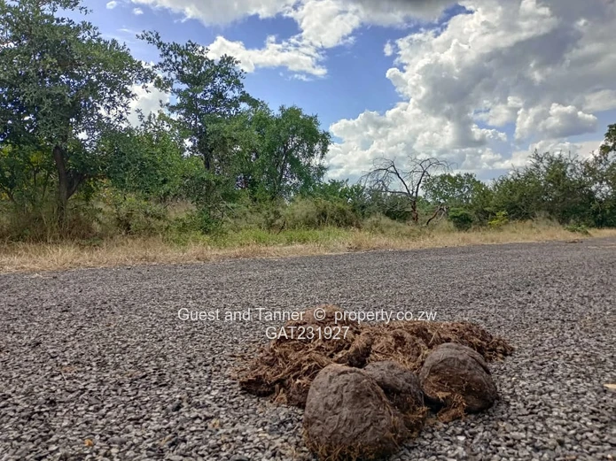 Low-Density Residential Stand for Sale – Near Zambezi River & Victoria Falls