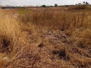 Stands & Residential Land