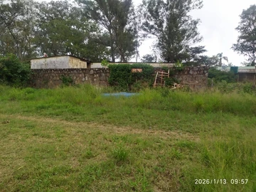 Stands & Residential Land